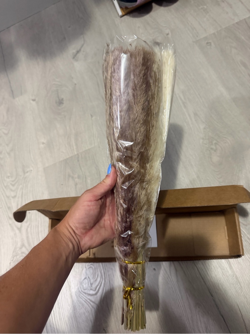 Decorative Dried Pampas Grass Bundle - Taupe and Cream
